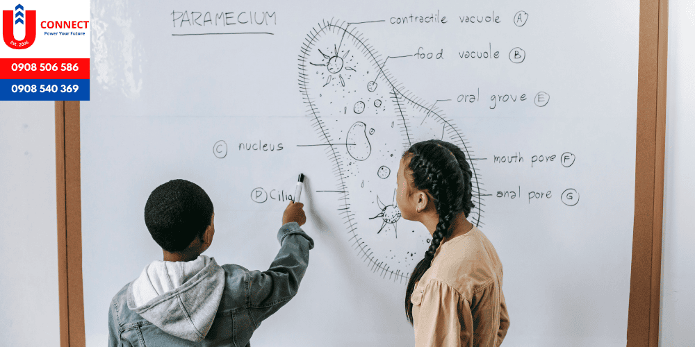 Du học ngành Dược sĩ tại Mỹ